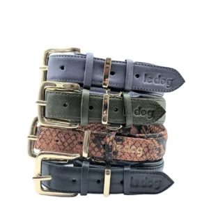 Padded Leather Collar | Solid