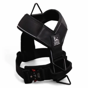 Bestia Dog Sport