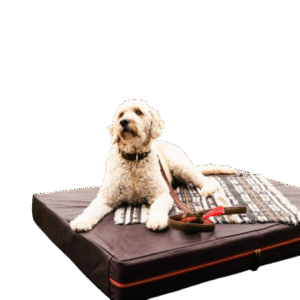 Le Bed | Orthopaedic Leather Dog Bed