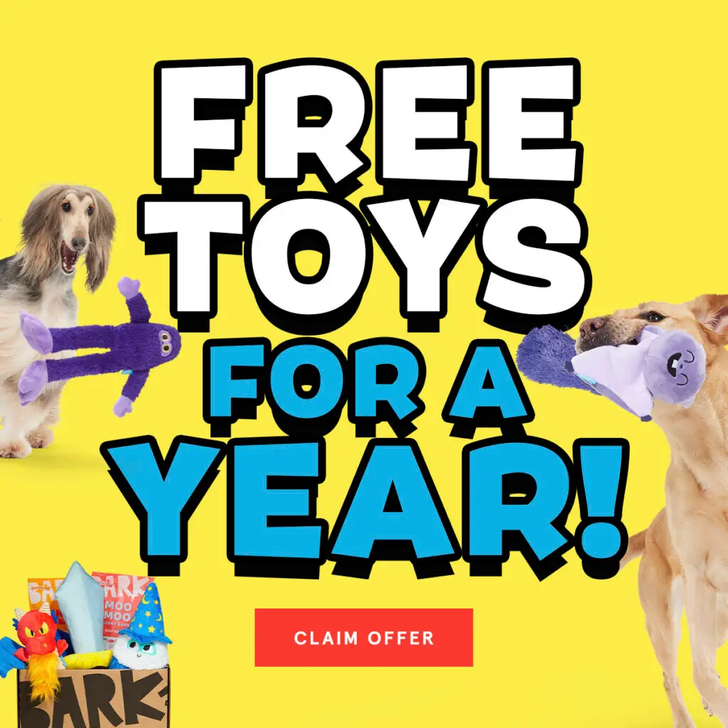 durable barkbox toys for dogs of all sizes