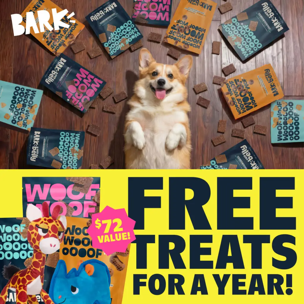 barkbox toys review showing dog toys and treats
