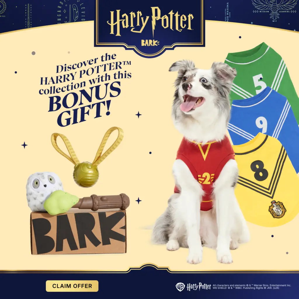 barkbox toys included in monthly subscription box